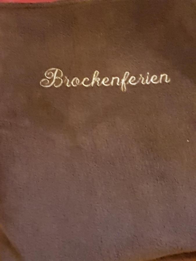 Appartement Brockenferien à Bad Harzburg Extérieur photo